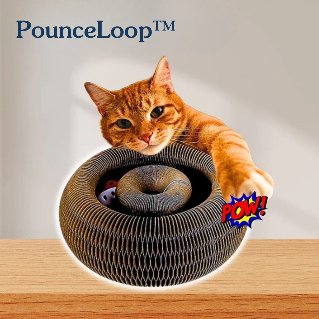 Keep your cat's energy high with PounceLoop™