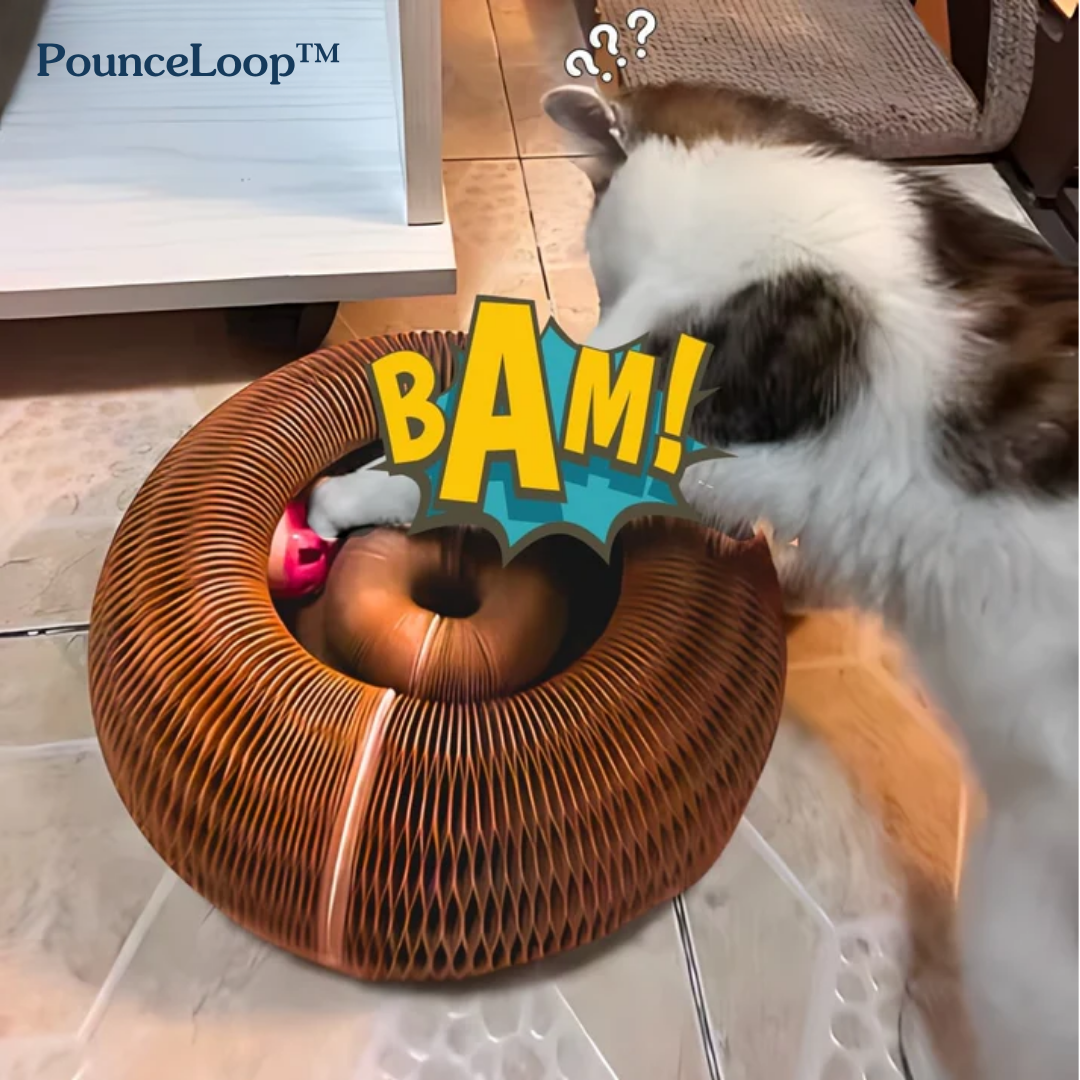 Keep your cat's energy high with PounceLoop™
